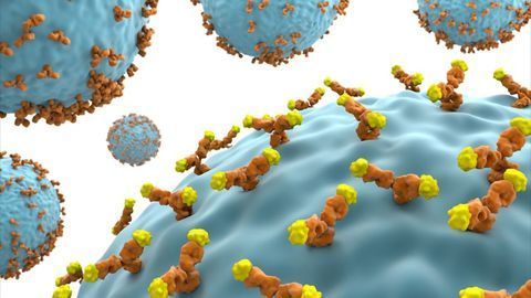 IONTAS Announces New Antibody Optimisation Agreement with Teva Pharmaceuticals