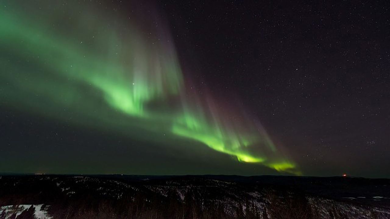 Finnish People’s Unique Genetic Makeup Offers Novel Insights Into Disease