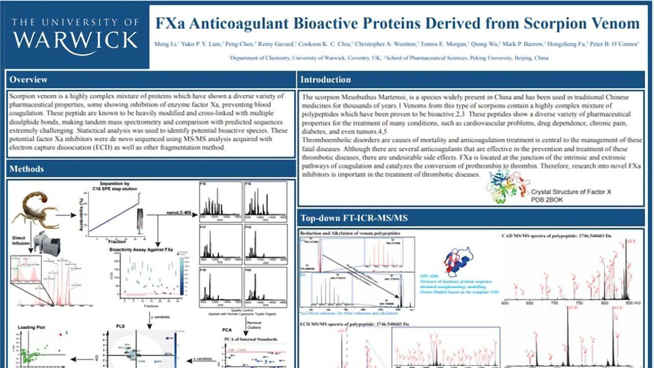 FXa Anticoagulant Bioactive Proteins Derived From Scorpion Venom