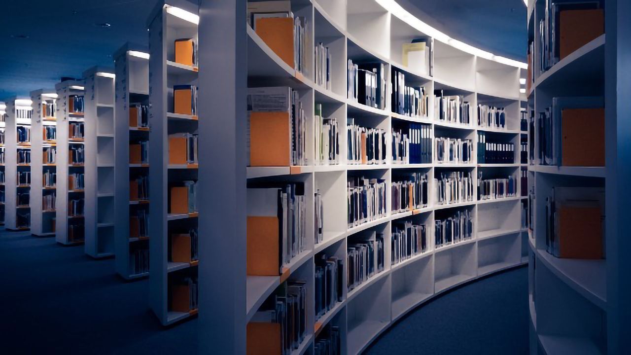 Predatory Journals Could Damage the Credibility of Scientific Publishing