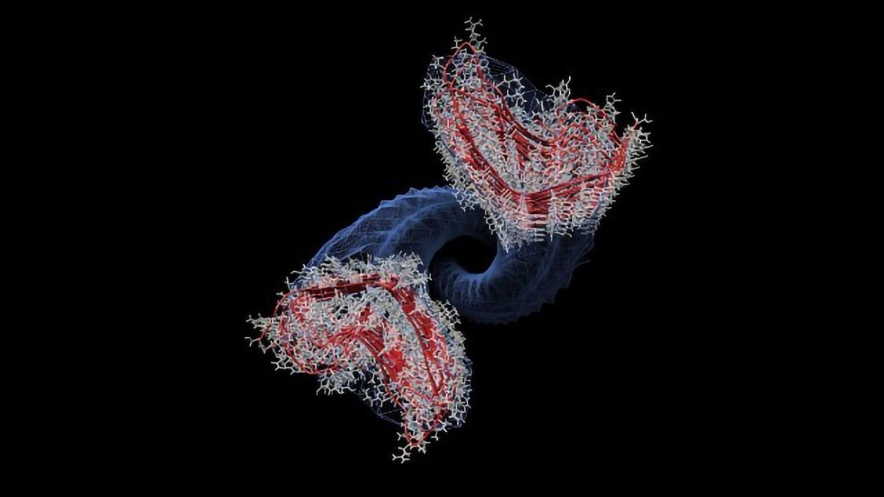 Computational Model Reveals Prion Replication Mechanisms