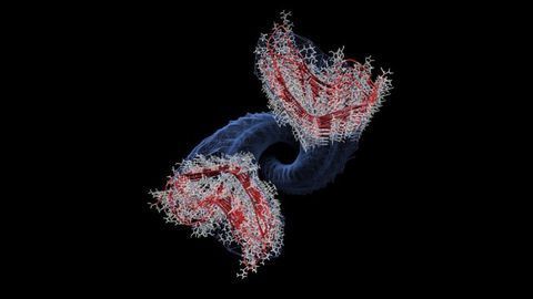 Computational Model Reveals Prion Replication Mechanisms