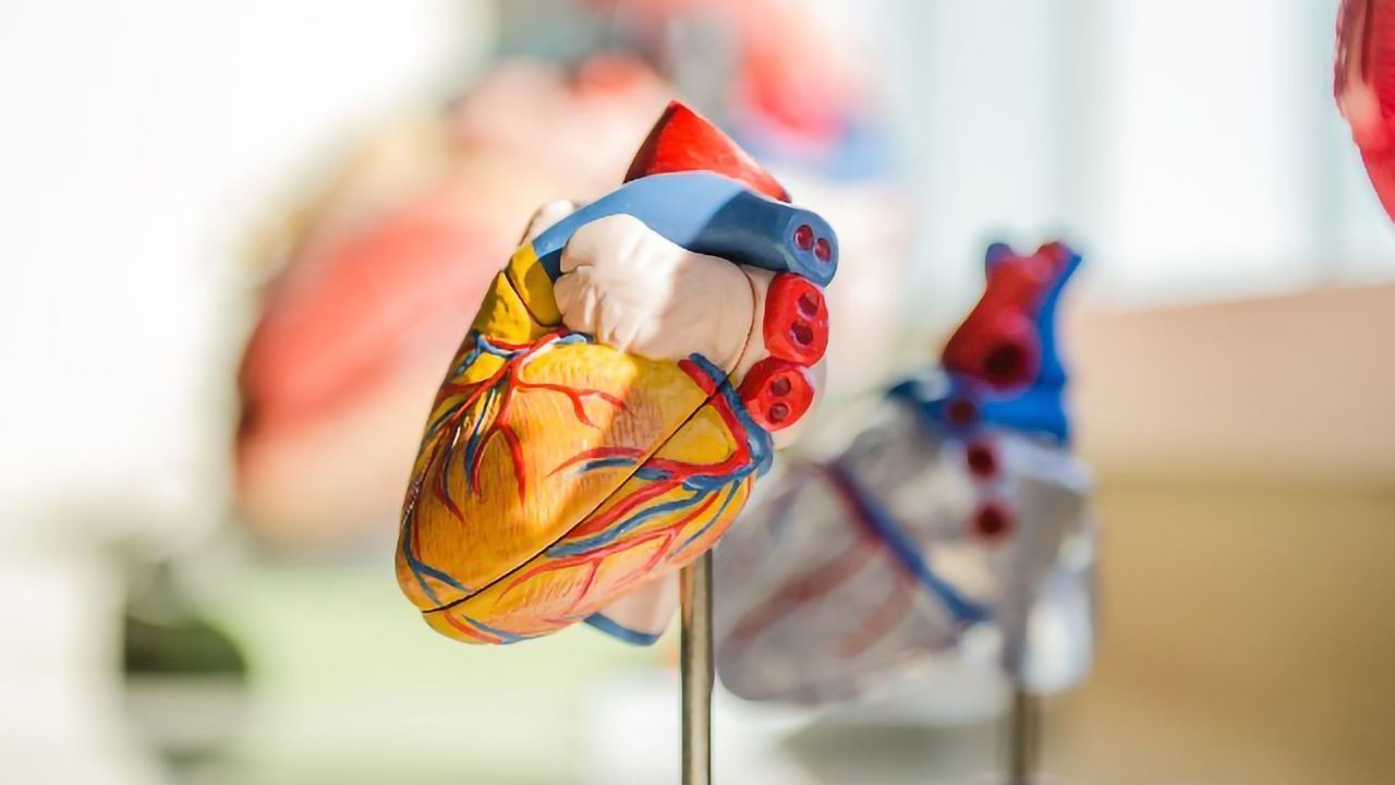 3D Printing the Human Heart