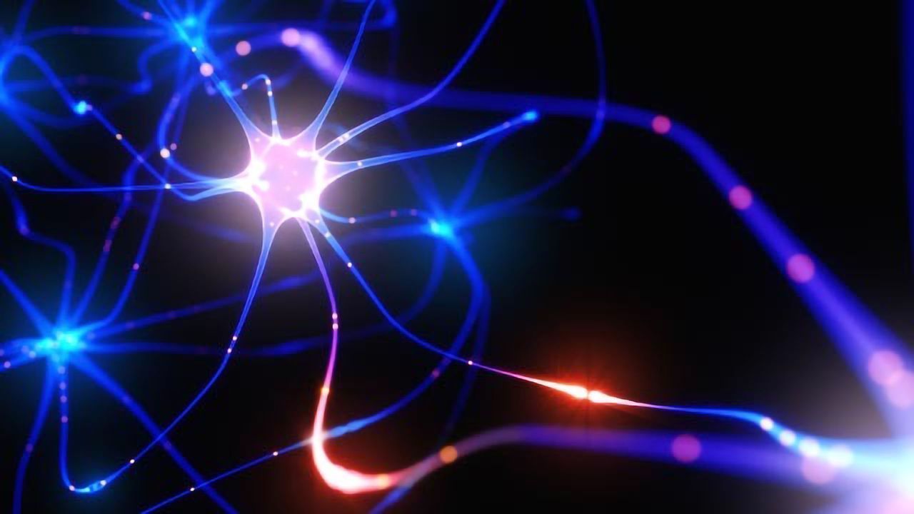 Drug Slows Progression of Scrapie in Mouse Model