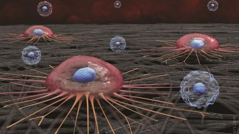 Liquid Biopsy Chip Isolates CTCs With High Purity