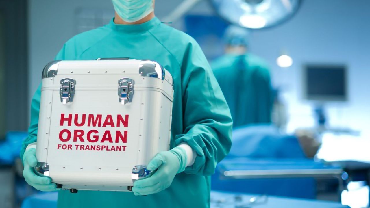 Removing the Need for Transplant Anti-rejection Drugs