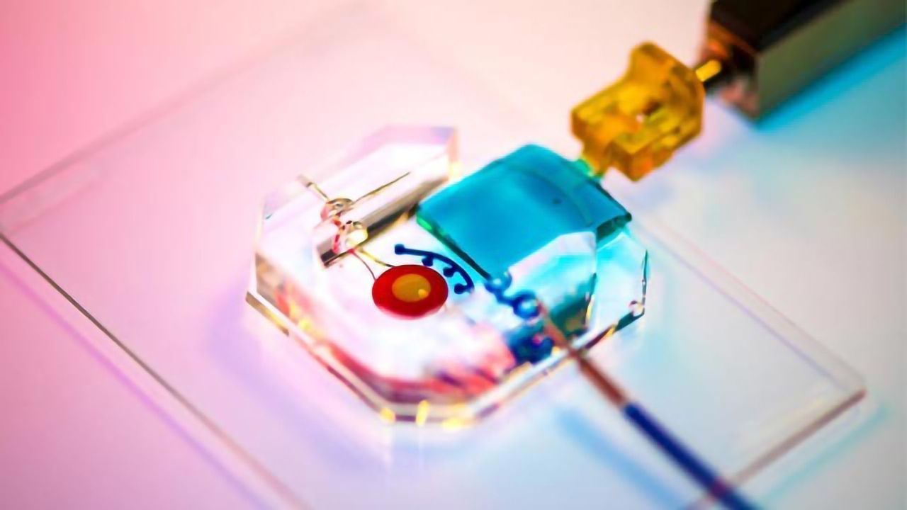 Blinking Eye-on-a-Chip Helps Test Drug Candidates