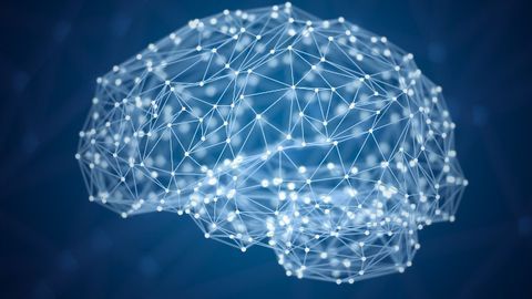 Brain Fibers Keep Memory Sharp in Old Age