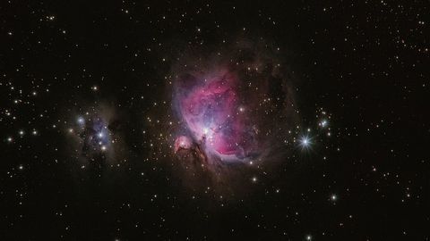 What Will Happen to the Brain in Deep Space?