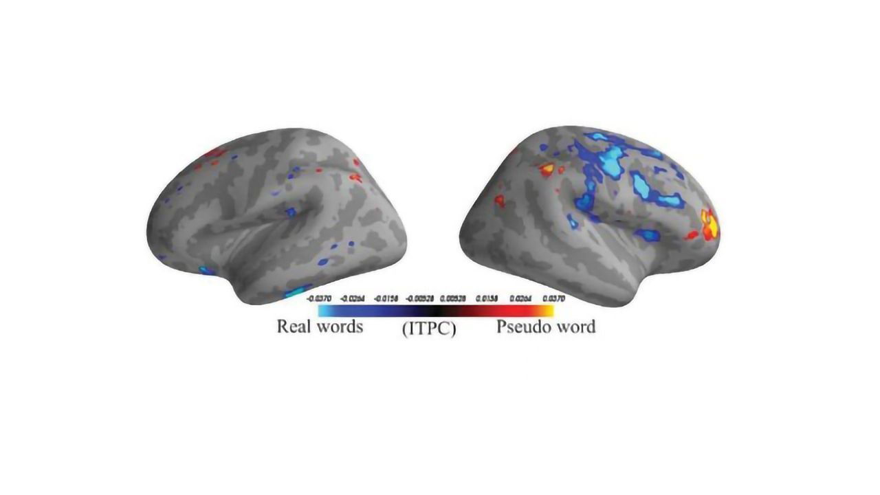 Real or Made-up? Machine Learning Explores Language Processing in the Brain