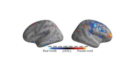 Real or Made-up? Machine Learning Explores Language Processing in the Brain