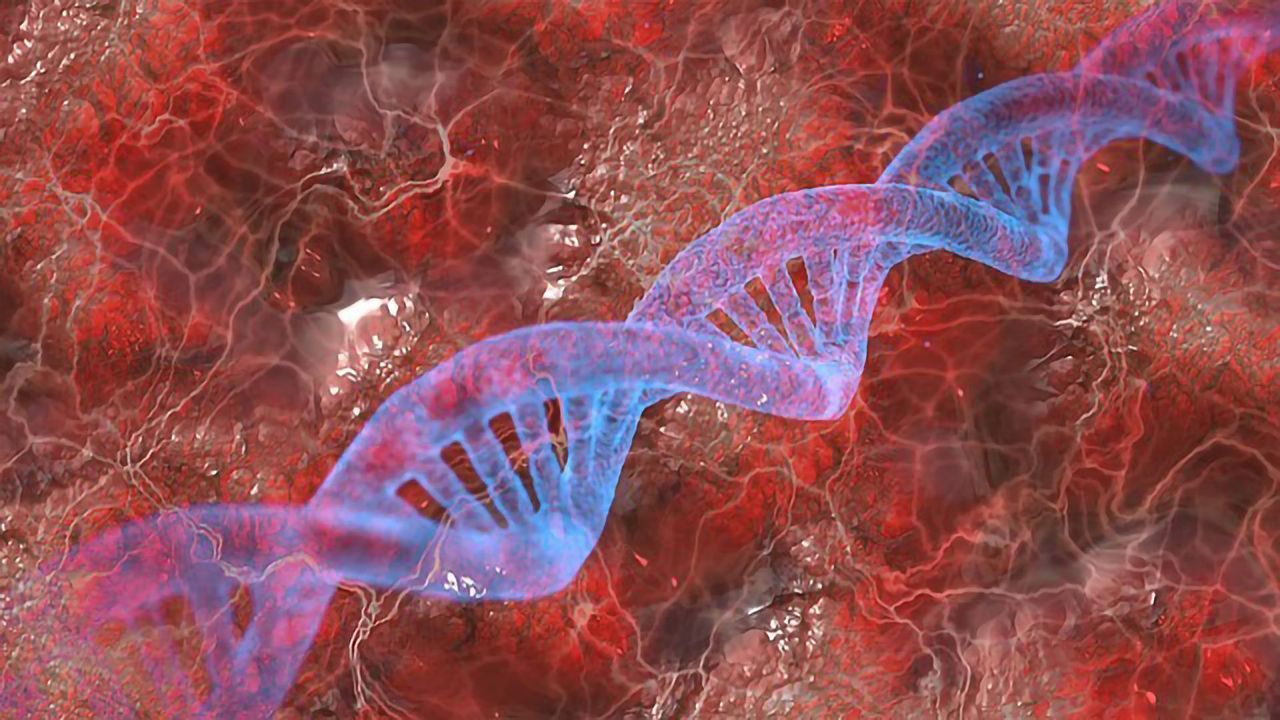 Several Genes Affect Risk of Asthma, Hay Fever and Eczema