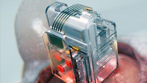 We Can Now Control Brain Circuits Using a Smartphone