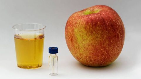 Food Profilers Improve Food Analysis Tools