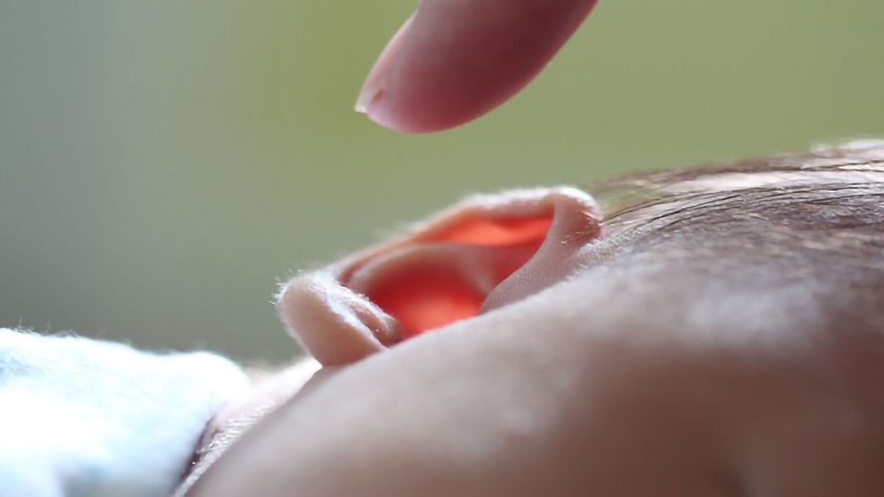 Proteins Might Restore Damaged Sound-detecting Cells in the Ear