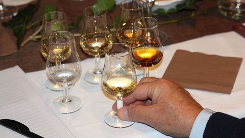 Artificial Tongue Could Have Whisky Counterfeiting Licked