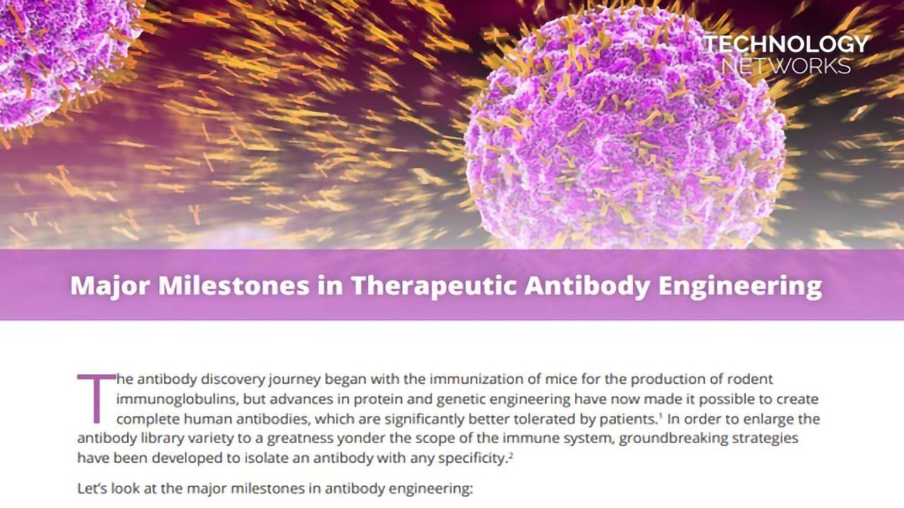 Major Milestones in Therapeutic Antibody Engineering