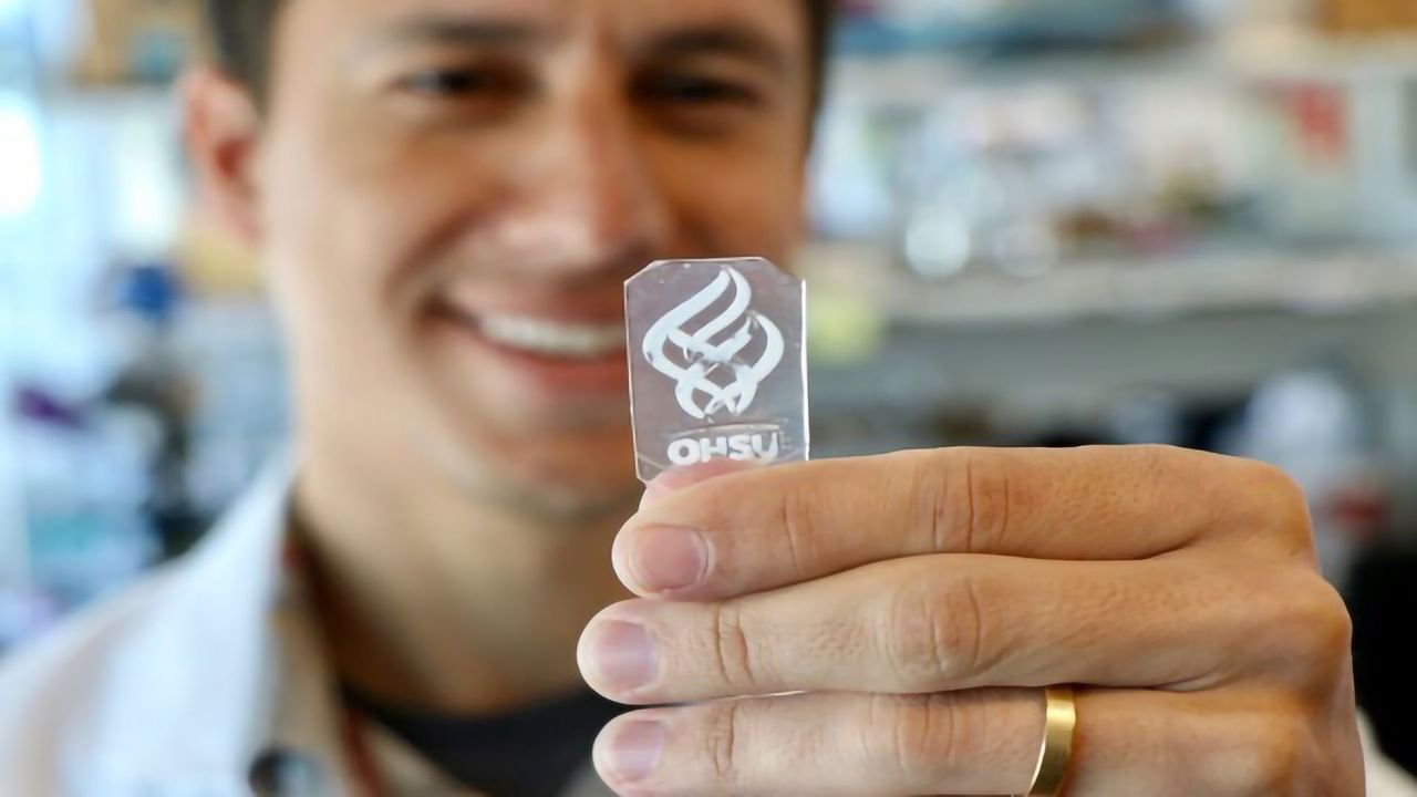 "Bone-in-a-dish" Opens Window on Cancer Initiation and Bone Regeneration