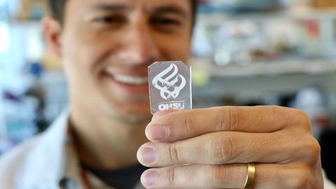 "Bone-in-a-dish" Opens Window on Cancer Initiation and Bone Regeneration