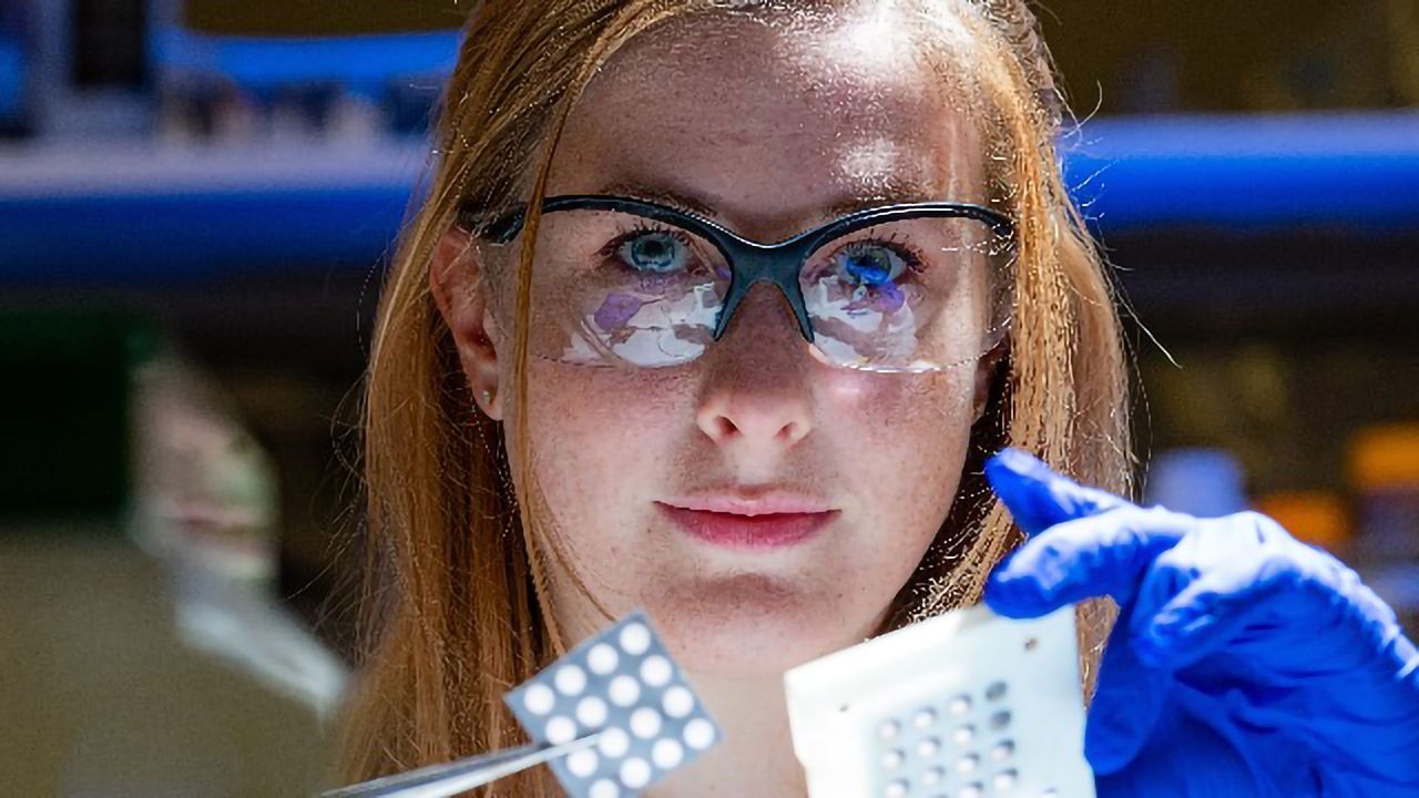 Paper Trail Leads to Heart Valve Discoveries