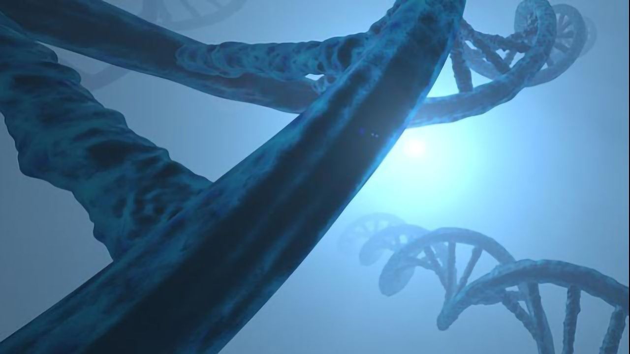 The Role of Repetitive DNA and Protein Sequences in Tumor Evolution