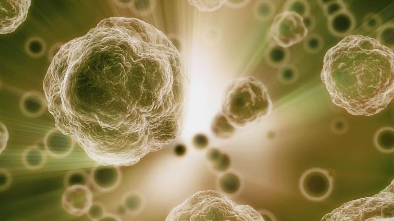Circulating Tumor Cells Shine Bright Like a Diamond
