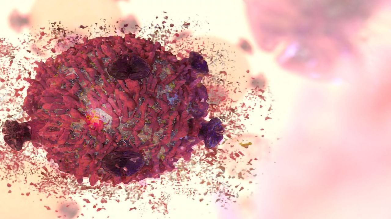 Making Immunotherapy Work for Treatment-resistant Lymphoma