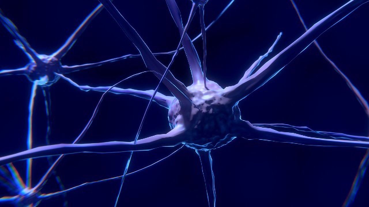The Proteins That May Hold the Answer to Mature Neuron Regereration