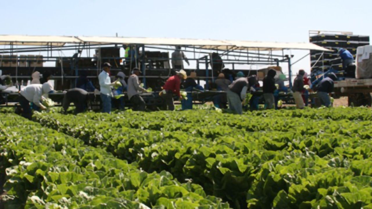 How Healthy Is the Soil?