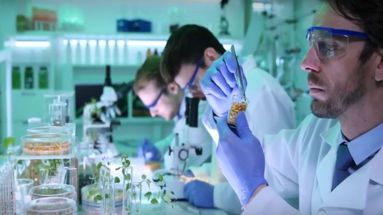 NRGene Are Taking Agricultural Research to the MAX