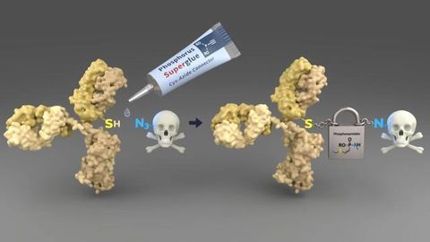 Delivering Cancer Medication Safely to Its Destination