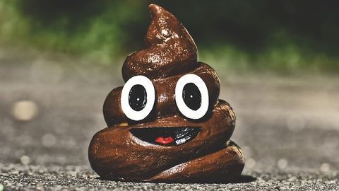 Can Eating Poop Save You From This Deadly Bacteria?