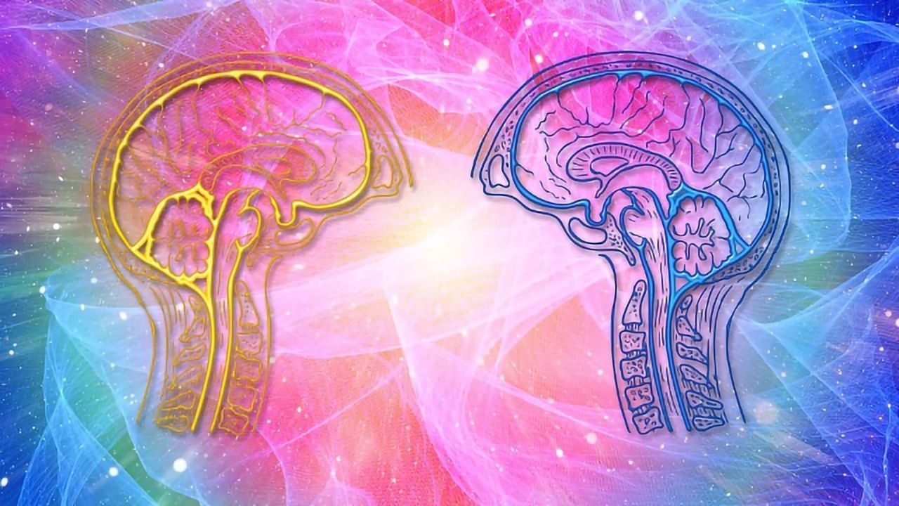 BrainHealth Researchers are Studying the Neurochemistry of Social Perception