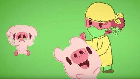 How Do Viruses Jump From Animals to Humans?