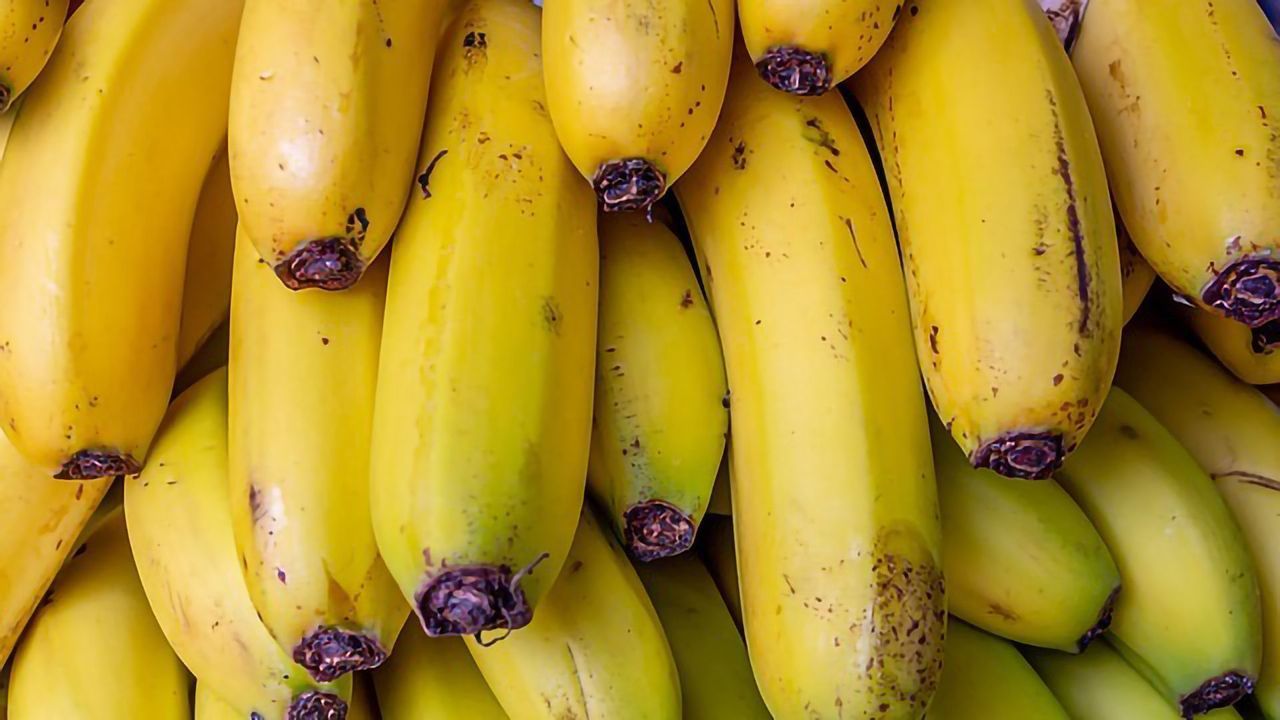 AI Tool Helps Protect the Much-loved Banana