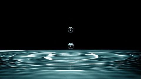 It's Official, No Water Molecules Here!