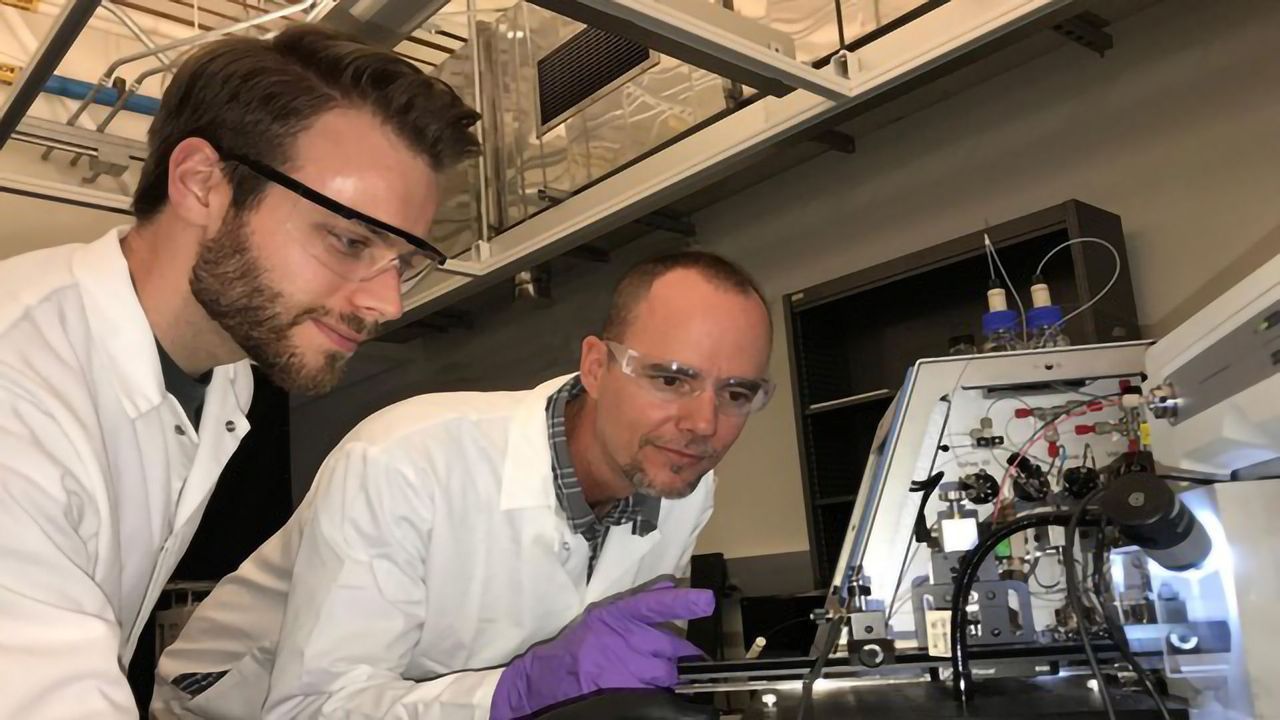 An Alternate Theory for the Cause of Alzheimer’s Disease