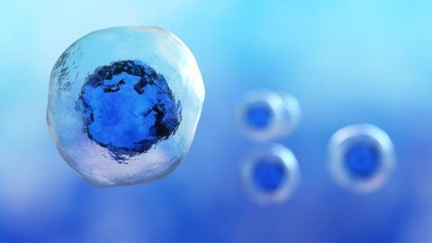 Single Cell Analysis – Advantages, Challenges, and Applications