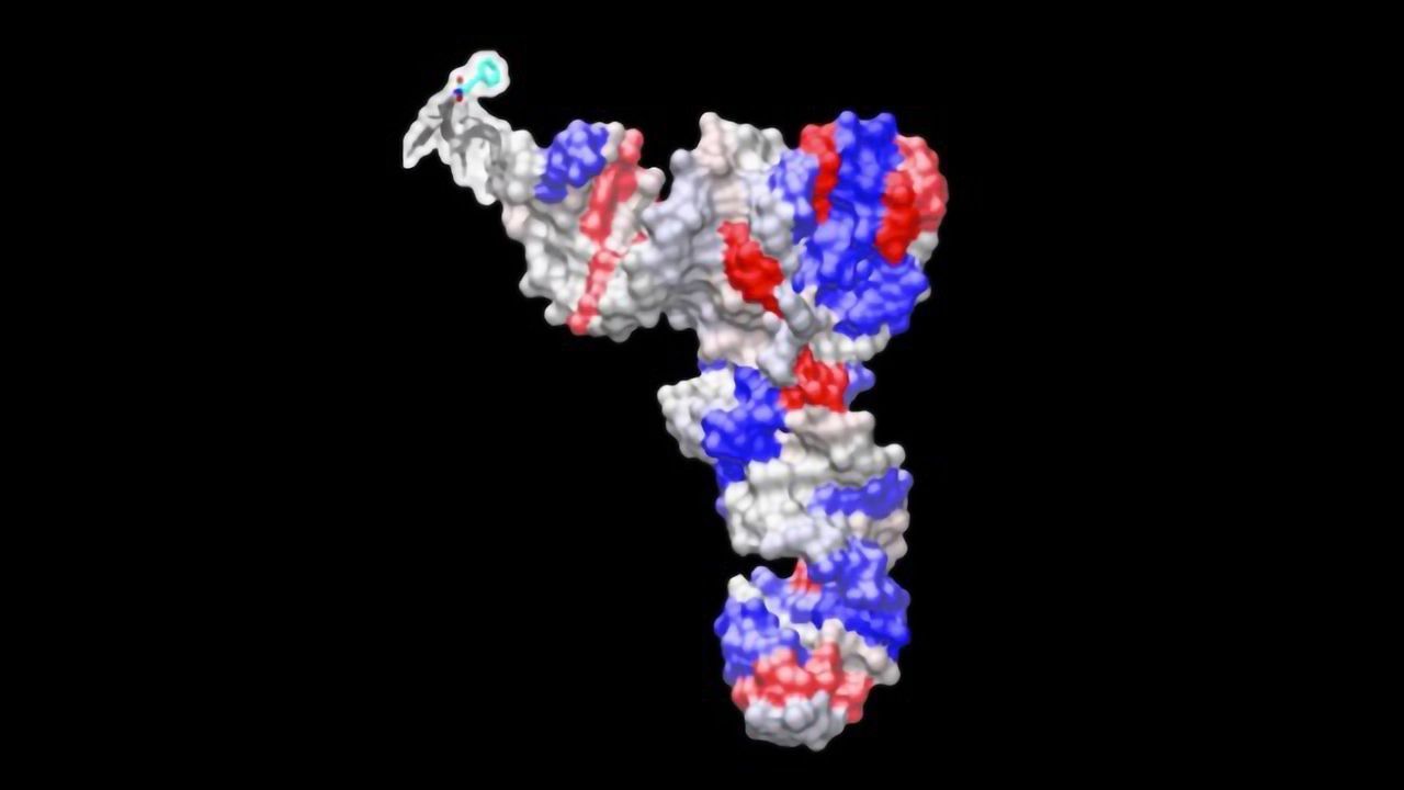 Lost in Translation: Genes Encoding tRNAs May Play a Role in Disease