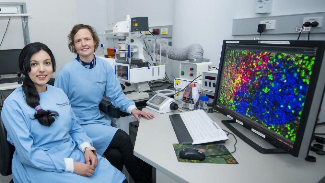 Viral Immunity Discovery Could Improve Vaccine Design