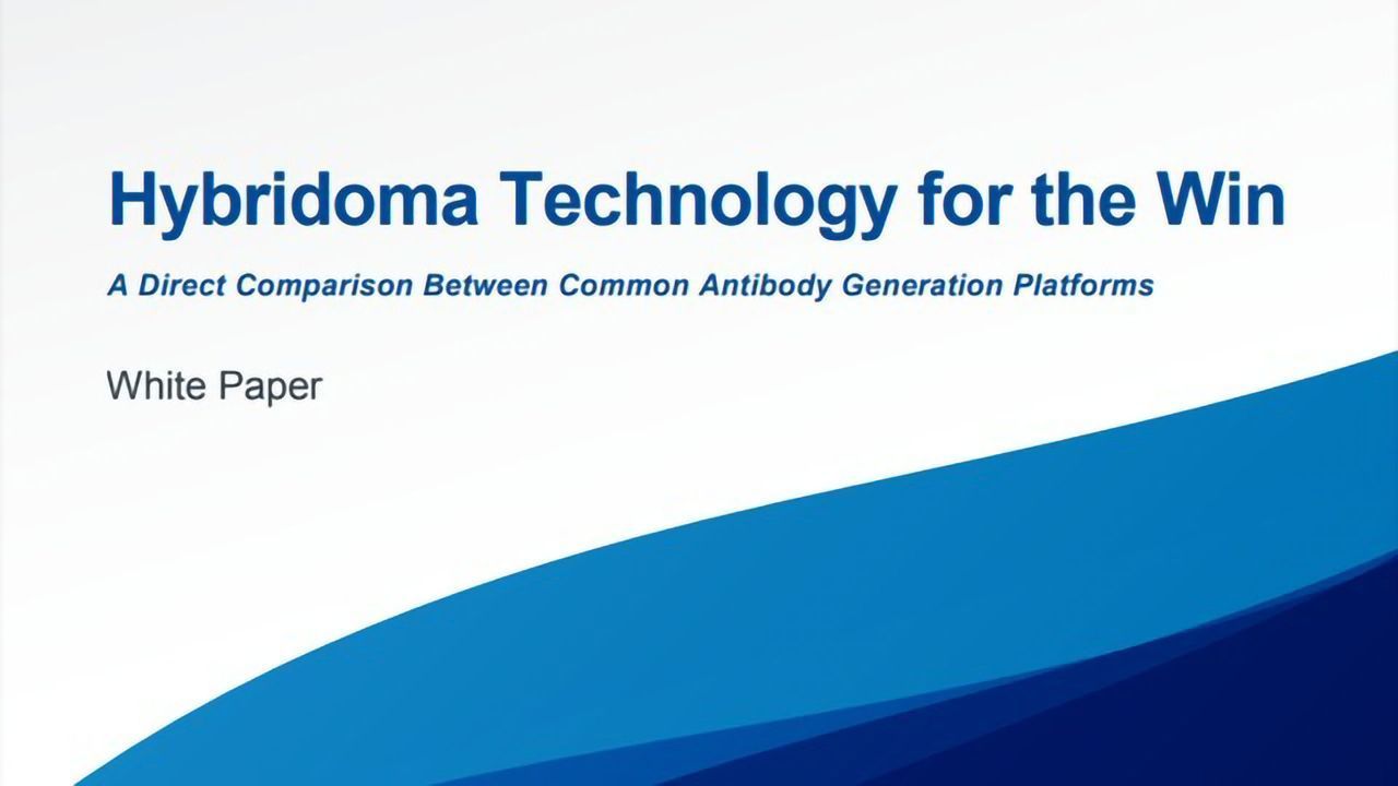 The Enduring Success of Hybridoma-based Antibody Development