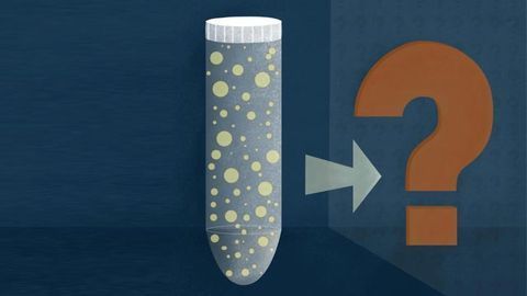 Mastering the Tricky Task of Measuring Tiny Nanoparticles