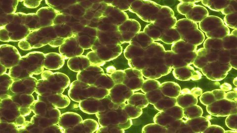 Genetic Study Suggests There Are More Genes in the Human Microbiome Than Stars in the Universe