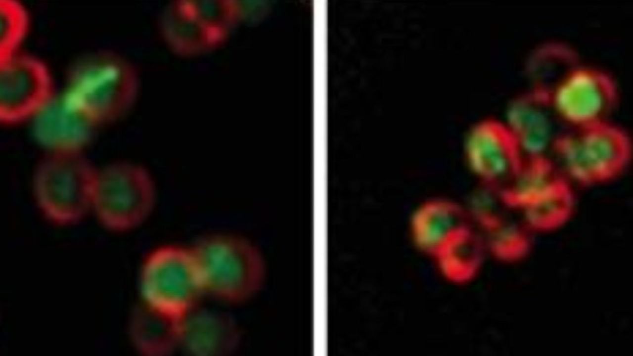 Taking Back Control Over Antibiotic Resistant Bacteria