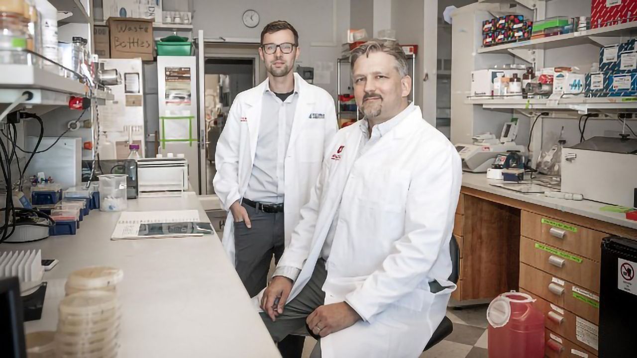 Discovery of How Cells Override Genetic Changes Could Advance Pancreatic Cancer Treatment