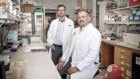 Discovery of How Cells Override Genetic Changes Could Advance Pancreatic Cancer Treatment