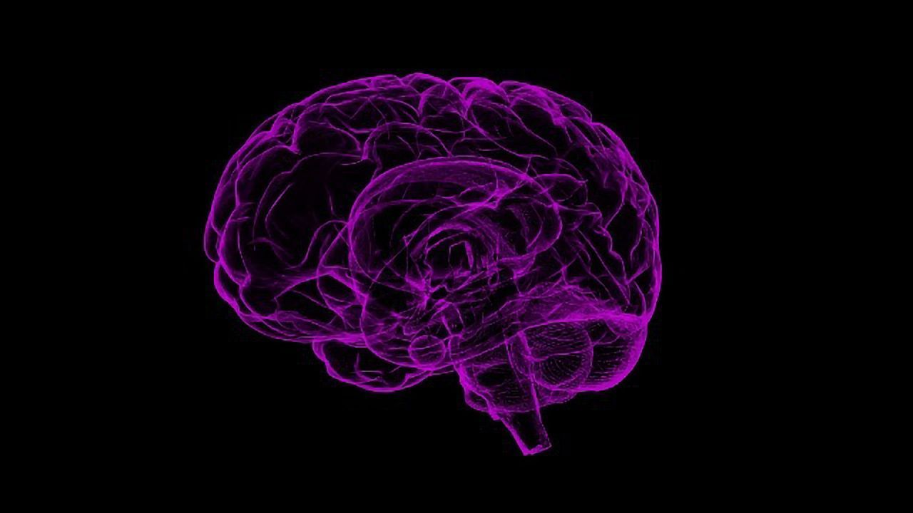 Ageing Process Reversed in Rat Brain Stem Cells