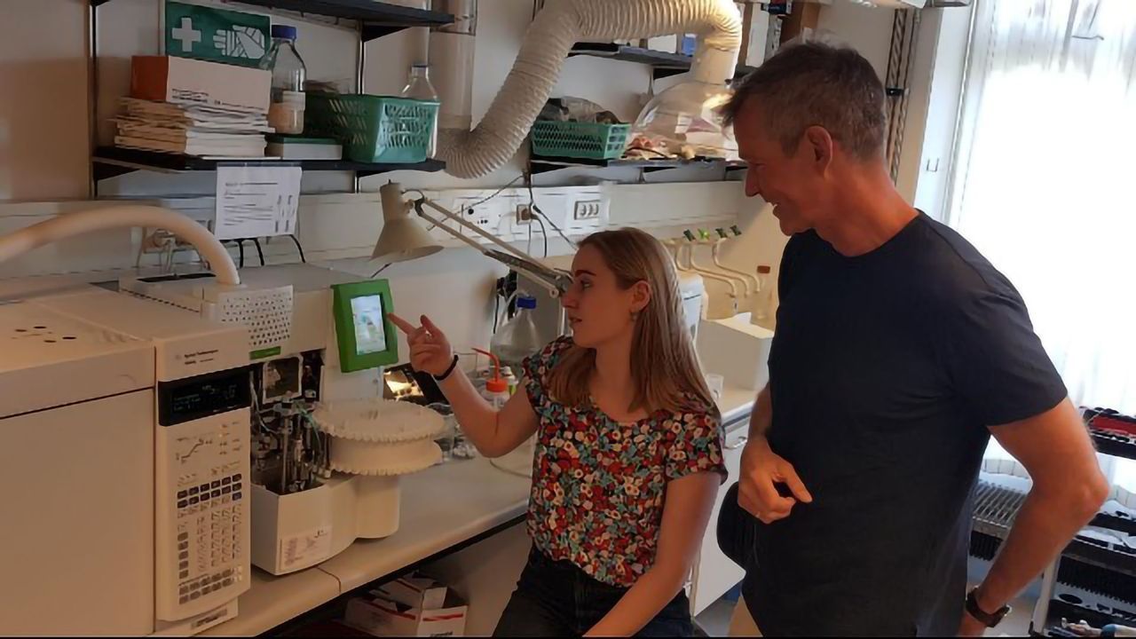 New Method Could Provide Better Food and Faster Analysis of Blood Tests