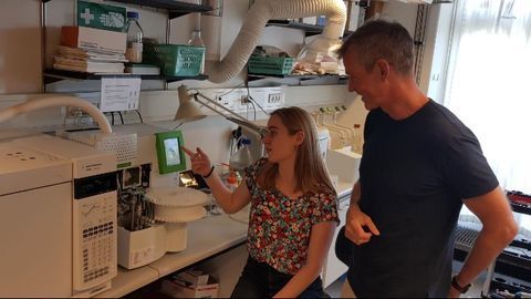 New Method Could Provide Better Food and Faster Analysis of Blood Tests