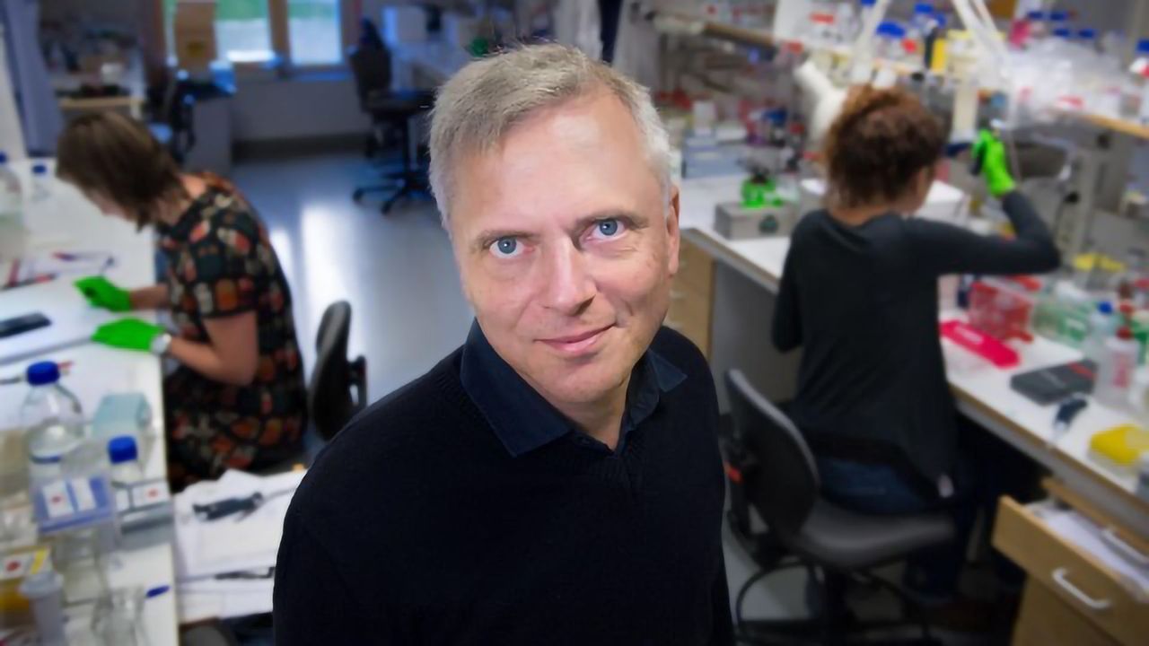 New Pain-sensitive Organ Found in Skin